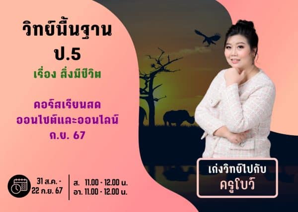 P567S107 - วิทย์พื้นฐาน ป.5 ปีการศึกษา 2567 เดือน ก.ย. 67