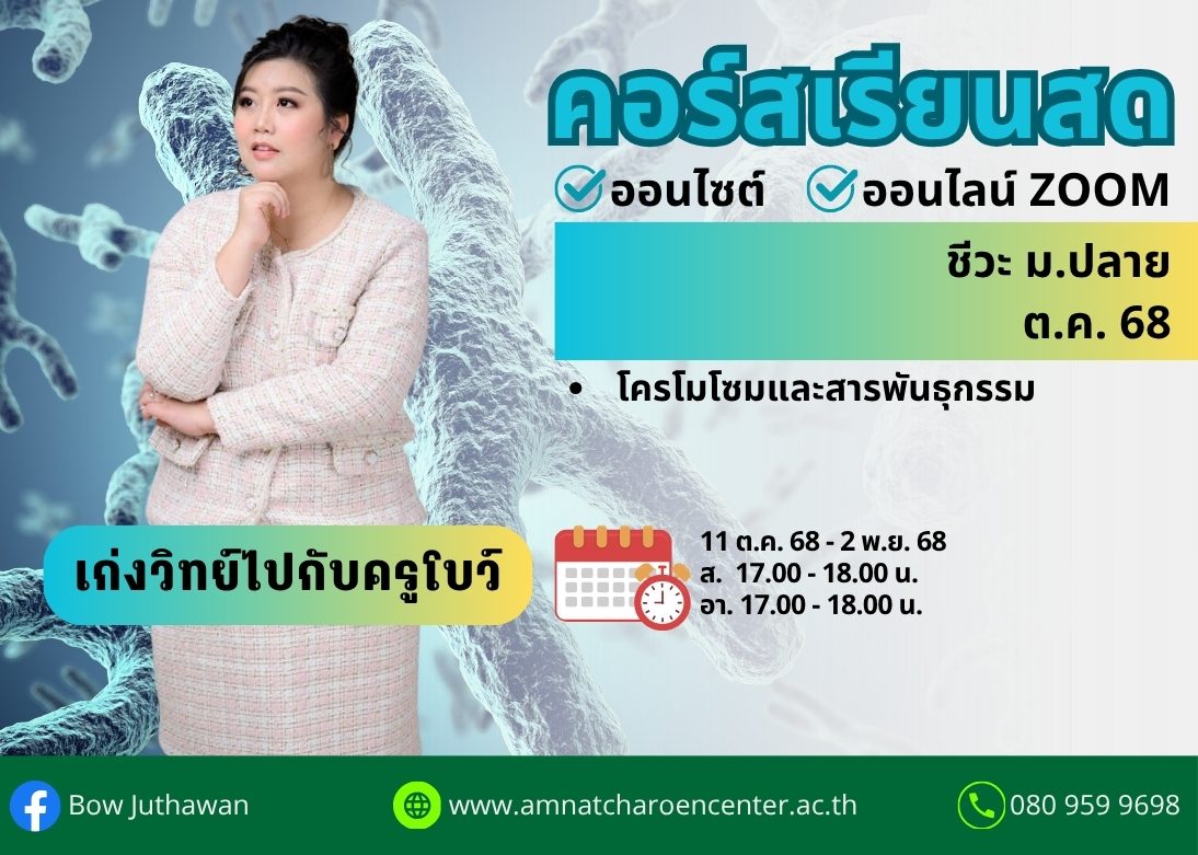 ปกคอร์สโบว์1068 (11)